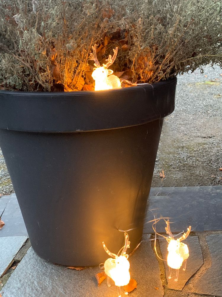 Dekorative Reinsdyr med LEDlys- 3 stk - Høyde 17 cm
