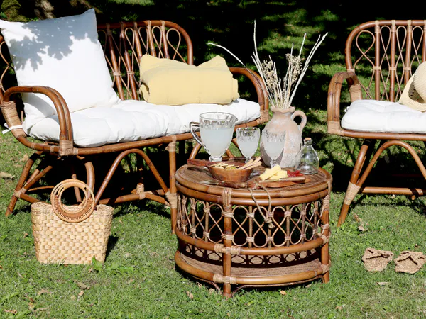 Hovedbilde Anor kurvstol med pute fra Chic Antique 