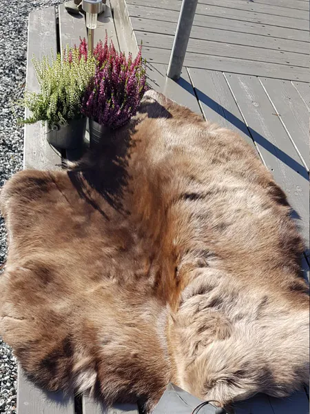 Hovedbilde Reinskinn i norsk kvalitet